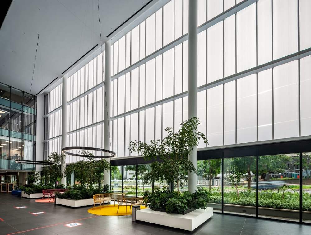 Edificio con Muro Cortina